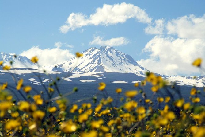 Group Tour: Amberd, Aragats, Lake Kari, Saghmosavank, Alphabet - Why This Armenia Day Trip Works
