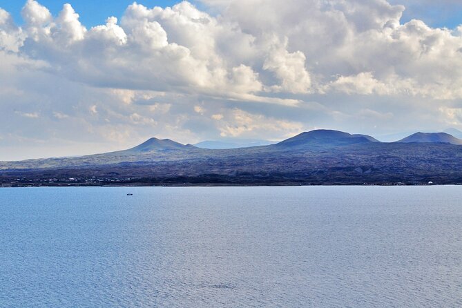 Lake Sevan & Dilijan Guided Day Trip with Ijevan Wine Tour - Key points to know before booking