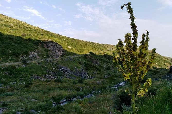 Mount Aragats, Amberd Fortress, Saghmosavank Monastery, Alphabet - private tour - Four details that shape the day