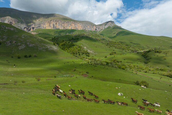 Off Road Tour to Dimats Mount Dilijan Armenia - Key points to know before booking