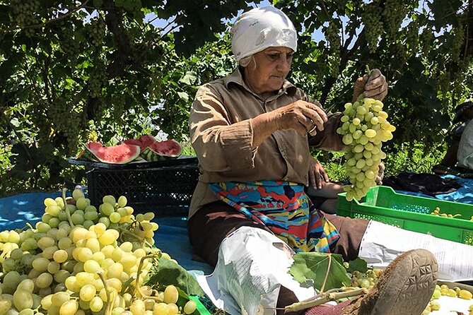 Private tour to Khor Virap, Ararat view - A private tour changes the pace