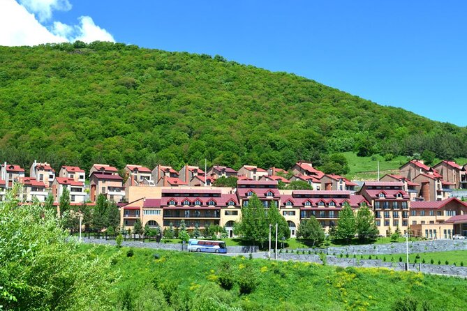 Private tour to Tsaghkadzor city (Ropeway), Lake Sevan, Sevanvank, Dilijan - What the $125 price really buys