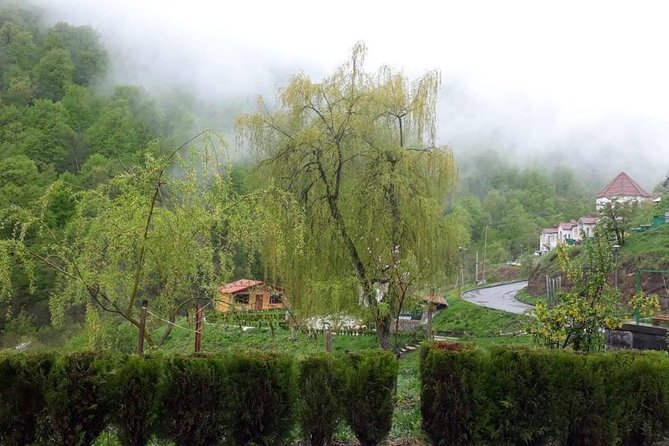 Private Tour: Tsaghkadzor, Sevan lake,Sevanavank, Dilijan, Haghartsin monastery - What the $150 private price really buys