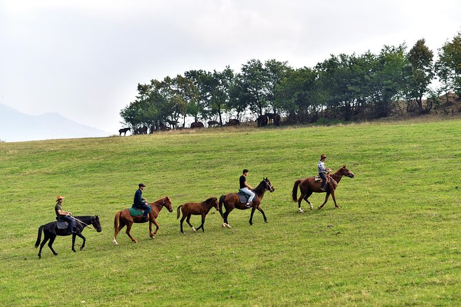 Scenic Trail Rides - Key points to know before you saddle up