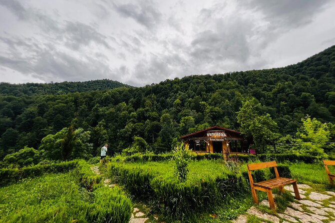 Sevan & Dilijan Escape: Crystal Lake, Old Town & Haghartsin - The winding road toward Dilijan