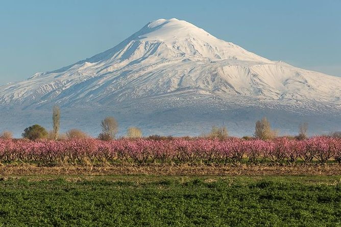 The Great Beauty of Armenia: 7-Day Culture and Cuisine Tour - Ararat views and the red cliffs of Noravank