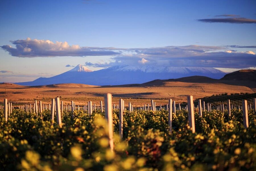 Yerevan: Khor Virap Day Trip with Mount Ararat Wine Tasting - Why this five-hour pairing works