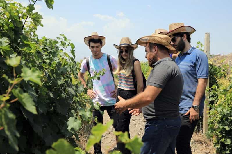 Yerevan: Khor Virap Day Trip with Mount Ararat Wine Tasting - From monastery grounds to Ararat Province vineyards