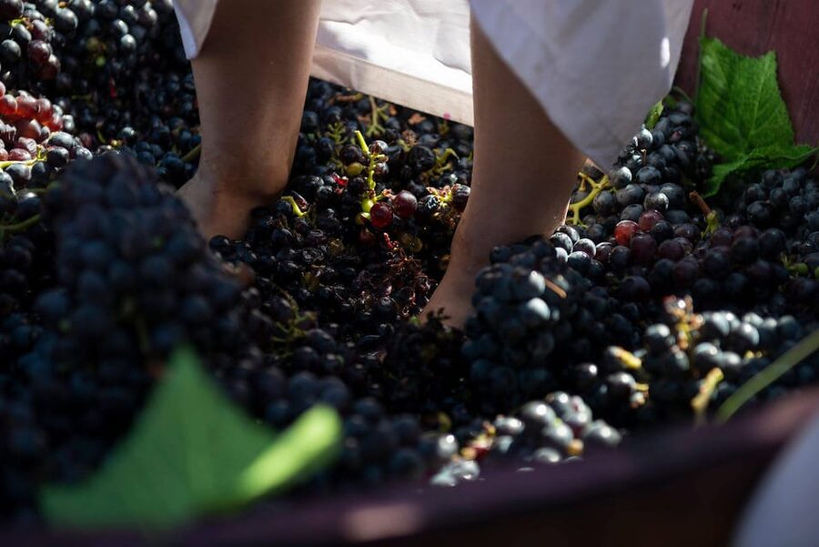 Yerevan: Khor Virap Day Trip with Mount Ararat Wine Tasting - Entering Khor Virap beneath Mount Ararat